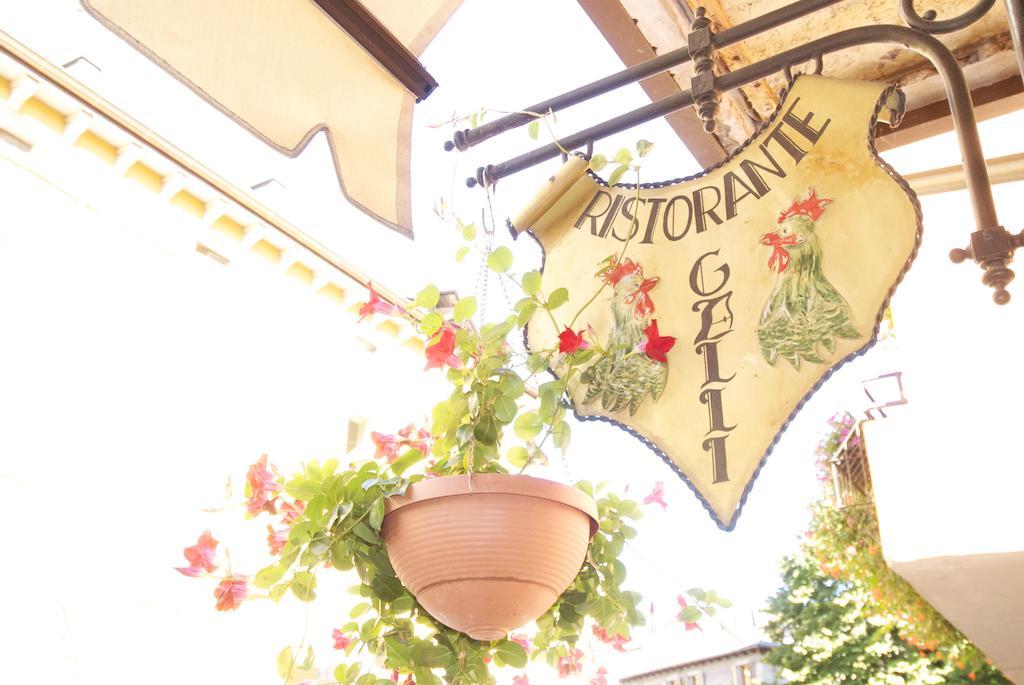Albergo Ristorante Galli Пиевепелаго Екстериор снимка